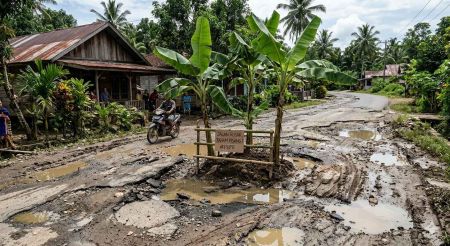 Protes Jalan Rusak, Warga Blora Tanam Pohon Pisang di Tengah Jalan Provinsi