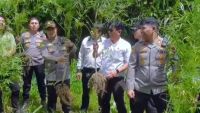 Polisi Temukan 19 Batang Ganja usai Gerebek Barak Narkoba di Sukatendel Karo