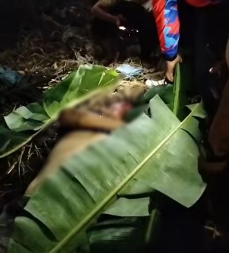 Seorang Pria Tewas Ditabrak Kereta Api di Pasar VIII Tembung, Diduga Sedang Telponan