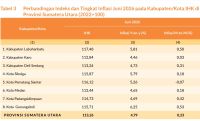 Warning bagi Pemprov Sumut: Inflasi Tembus 4,79%, Daya Beli Tercekik Sektor Pangan dan Energi