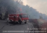 Lahan di Liku Endikat Terbakar, Kadis Damkar Pagaralam Imbau Masyarakat Tak Buang Puntung Rokok Sembarangan