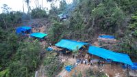 Razia PETI di Dairi, 47 Camp Penambangan Emas Ilegal di Hutan Lindung Dimusnahkan