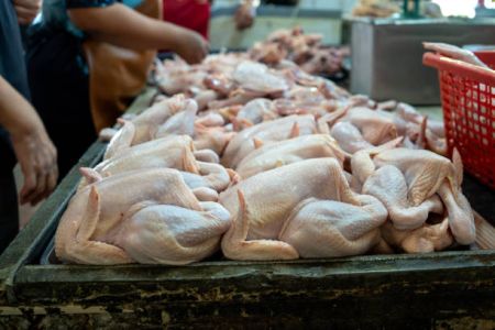 Harga Daging Ayam Melonjak Akibat Program MBG, Begini Kata Pengamat