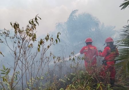 Darurat Karhutla, 11 Daerah di Sumsel Masuk Zona Merah Karhutla