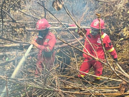Karhutla Muara Medak Sumsel Tembus 115 Hektare, Manggala Agni Terkendala Krisis Air