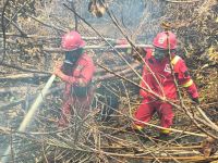 Karhutla Muara Medak Sumsel Tembus 115 Hektare, Manggala Agni Terkendala Krisis Air