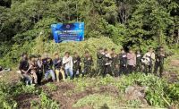 30 Ribu Batang Ganja Siap Panen Ditemukan di Nagan Raya, BNN Langsung Musnahkan