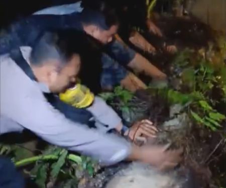 Rumah Warga di Kuala Langkat Rusak Berat Ditimpa Pohon Sawit