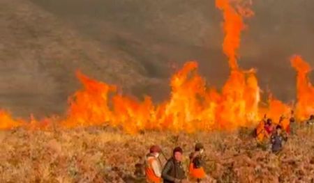 DPR Cium Kelemahan Pengawasan Usai 520 Hektare Kawasan Bromo Terbakar