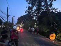 Angin Kencang, Pohon Kapuk Setinggi 20 Meter Roboh di Delitua