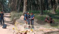 Mayat Pria yang Ditemukan di Kebun Sawit Muba Diduga Korban Kekerasan, Polisi: Ada Bekas Benturan Benda Tumpul