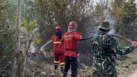 Sembilan Pelaku Karhutla di Sumsel Ditangkap, Sawit dan Kopi Jadi Alasan Utama Pembakaran Lahan