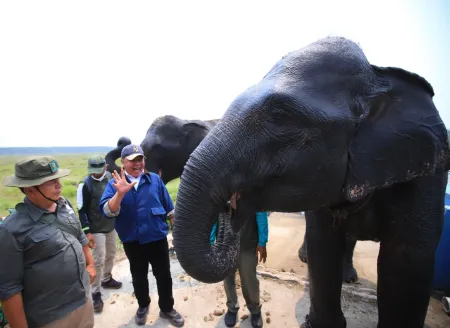Gubernur Sumsel Tinjau Penanganan Karhutla dan Kondisi Gajah di Suaka Margasatwa Padang Sugihan