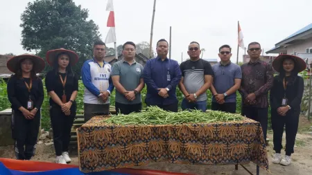 Rutan Kabanjahe Panen Raya Buncis Hasil Tanaman Sarana Asimilasi dan Edukasi Warga Binaan