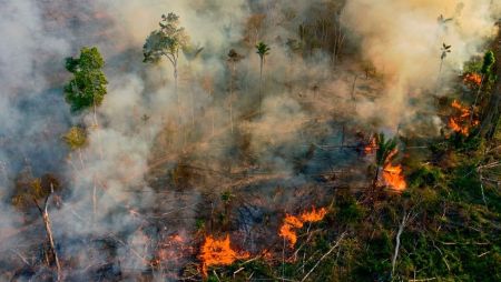Serukan Perubahan Paradigma Karhutla, Serdik Sespimmen Polri Dorong Penegakan Hukum Berbasis Ilmiah