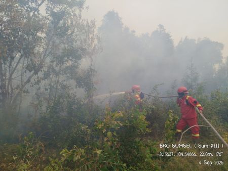 Kebakaran Lahan Gambut Kepung Kebun Raya Sriwijaya, Tim Gabungan Berjibaku Padamkan Api