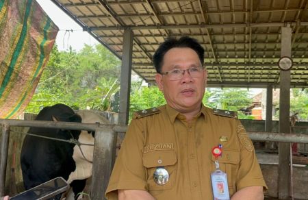 Capaian Vaksinasi PMK Tahap II di Sumsel Tembus 67,46 Persen, Target Rampung September 2026