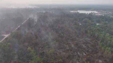 Kebakaran Lahan Gambut Kebun Raya Sriwijaya Capai 30 Hektare, Petugas Lakukan Mopping Up