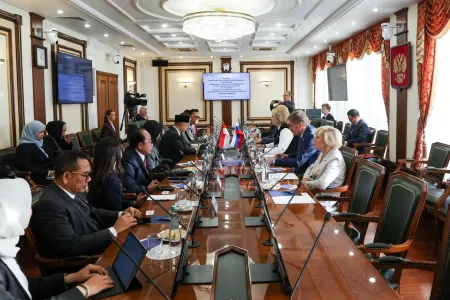 Pantau Pemilu Rusia, Tamsil Linrung Soroti Peran Teknologi