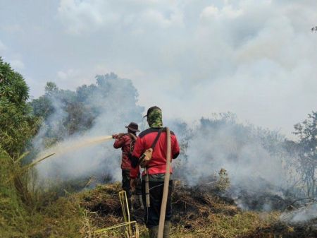 Antisipasi Karhutla di Habitat Gajah Sumatera, BKSDA Sumsel Perketat Pengawasan SM Padang Sugihan ​