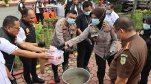 Polres Langkat Musnahkan Barang Bukti Ratusan Gram Sabu, Ganja dan Ekstasi: 54.457 Jiwa Terselamatkan