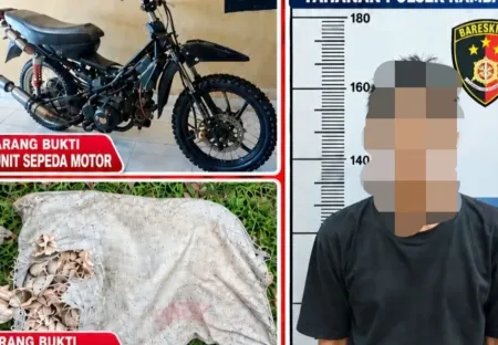 Curi 49 Kg Getah Karet Petani di Rambang, Residivis Asal Prabumulih Diringkus Polisi