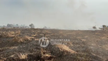 Darurat Karhutla Sumsel: 1.042 Hotspot Terdeteksi, 400 Hektare Lahan Masih Jadi Fokus Pemadaman