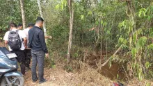 Heboh di Medsos, Penampakan Satwa Diduga Beruang Hitam Gegerkan Warga Sungai Rambang Muara Enim