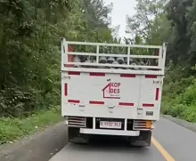 Truk Kopdes Merah Putih Angkut Sawit di Karo Bikin Heran, Ini Kata Ketua DPRD