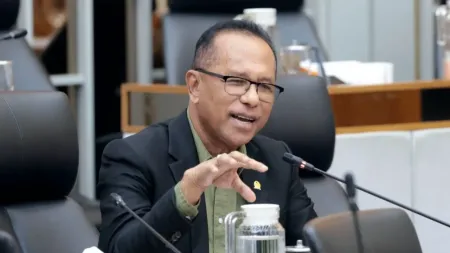 Penerbangan Kupang-Kalabahi Gagal Mendarat akibat Asap, Usman Husin Desak Kemenhut Bertindak