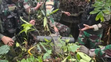 TNI Amankan Senjata Caracal Rampasan OPM Maybrat