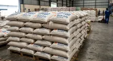 600 Ton Beras SPHP Diduga Dioplos Jadi Premium, Potensi Kerugian Negara Rp3,3 Miliar
