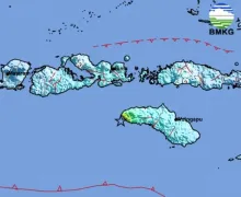 Gempa Bumi Magnitudo 6.1 di Sumba Barat Daya, Guncangan Kuat Dirasakan Selama 1 Menit
