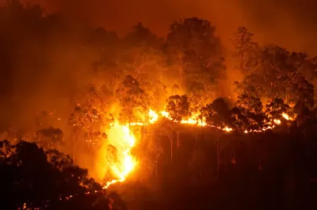 Bareskrim Tetapkan 245 Tersangka Perorangan dan 20 Korporasi Kasus Karhutla