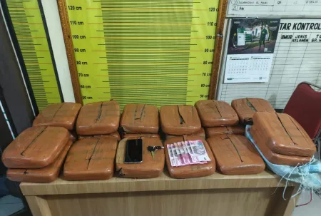 Hendak Kabur, Pria Bawa 20 Ball Ganja Ditangkap Polisi di Padangsidimpuan