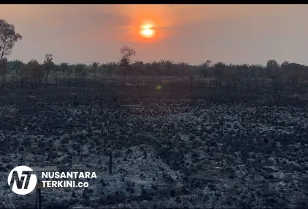 REI Sumsel Ancam Pengembang Pelaku Pembakaran Lahan ​