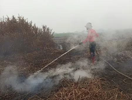 BNPB: Ratusan Hektar Karhutla Berangsur Padam, Inovasi OMC Dry Ice Efektif Urai Asap