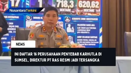 Ini Daftar 16 Perusahaan Penyebab Karhutla di Sumsel, Direktur PT RAS Resmi jadi Tersangka
