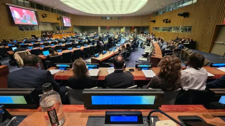 GREAT Institute: Integrasi Papua ke Indonesia Sudah Sah di Mata Hukum Internasional