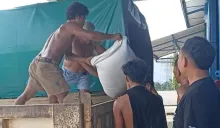 Polres Binjai Salurkan Lagi 4 Ton Jagung ke Bulog, Total Serapan Tembus 314,2 Ton